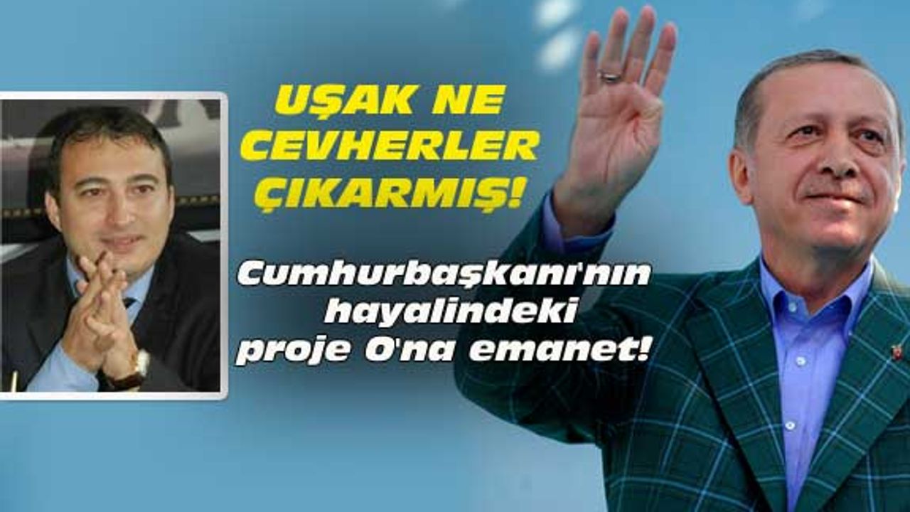 Cumhurbaşkanı'nın hayalindeki proje O'na emanet!