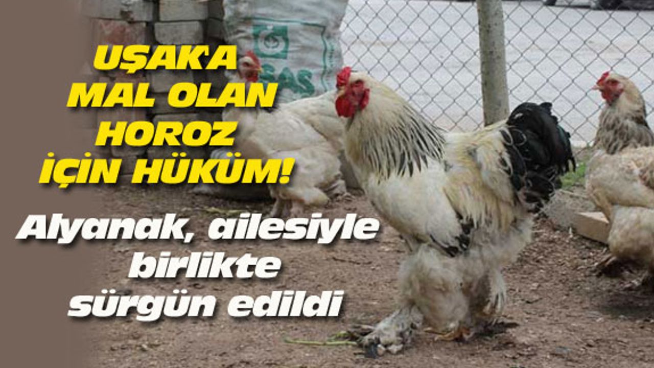 Alyanak, ailesiyle birlikte sürgün edildi