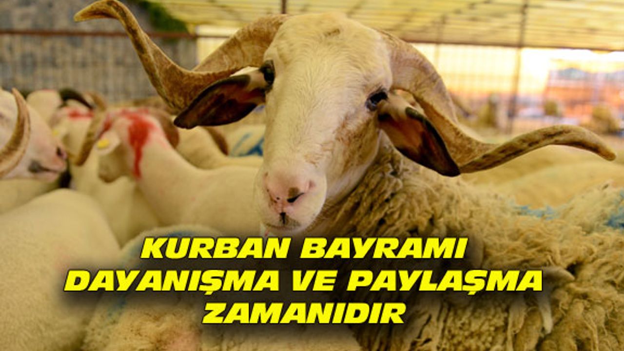 Kurban bayramı, dayanışma ve paylaşma zamanıdır
