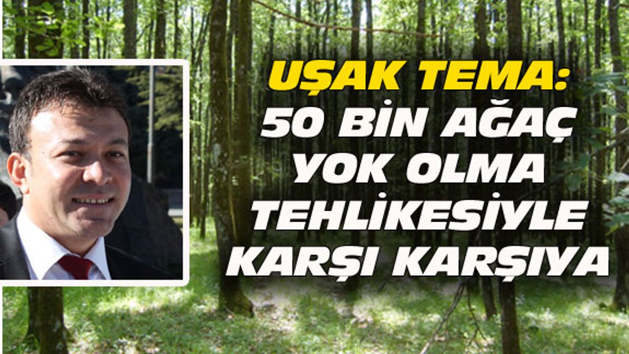 TEMA: Uşak'taki 50 bin ağaç yok olma tehlikesinde