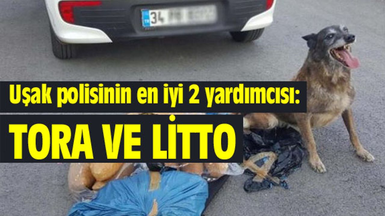 Uşak polisinin en iyi 2 yardımcısı: Tora ve Litto
