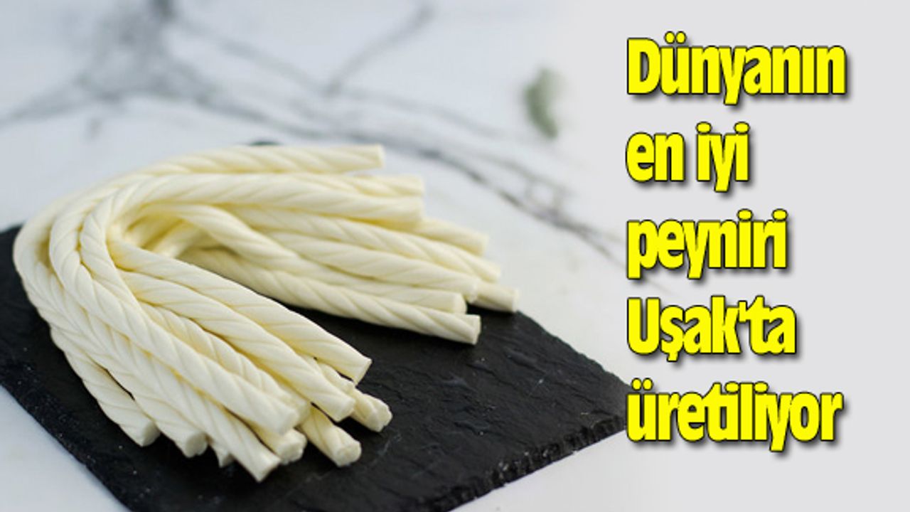 Dünyanın en iyi peyniri Uşak'ta üretiliyor
