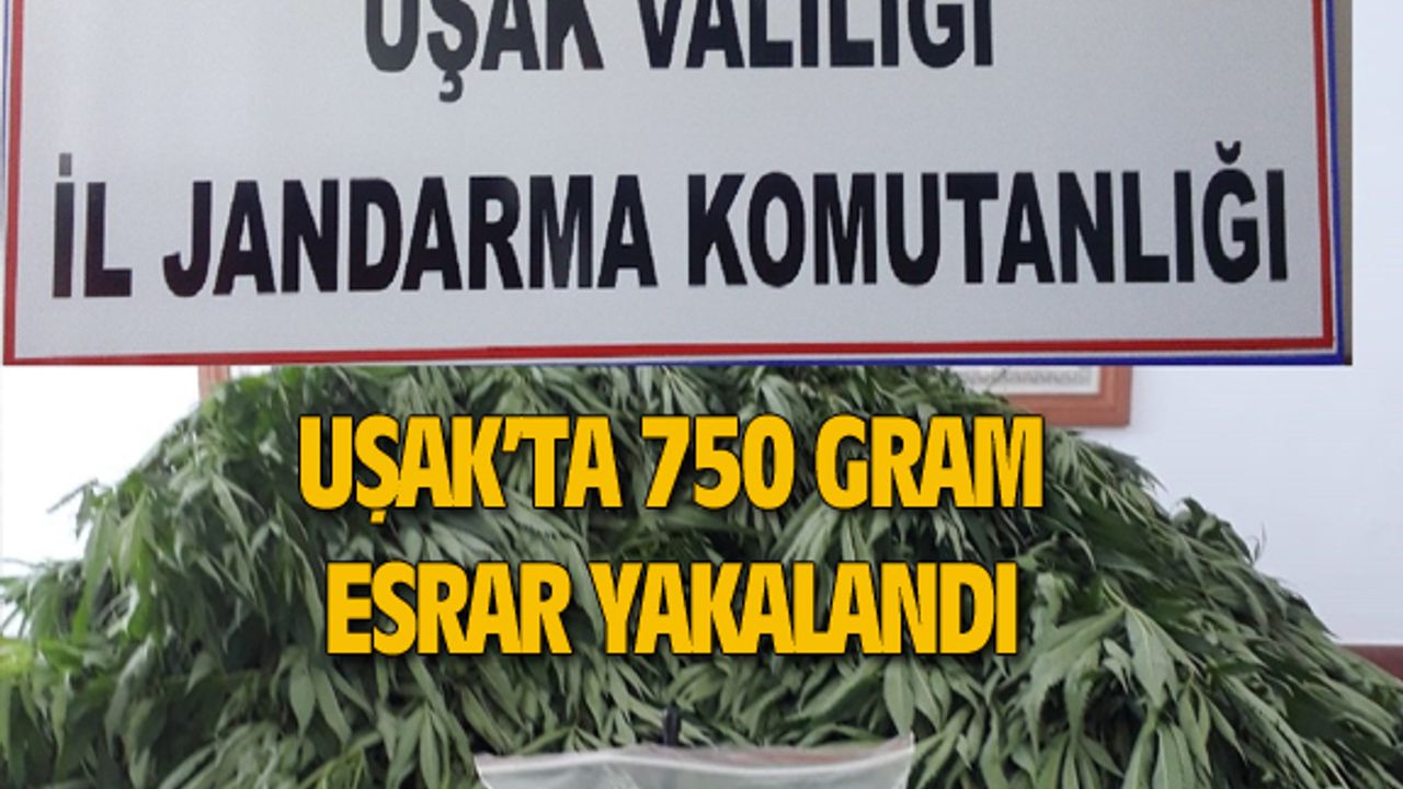 Uşak jandarması 750 gram esrar yakaladı