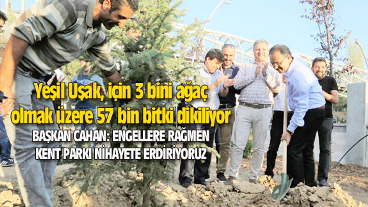 Yeşil Uşak, için 3 bini ağaç olmak üzere 57 bin bitki dikiliyor