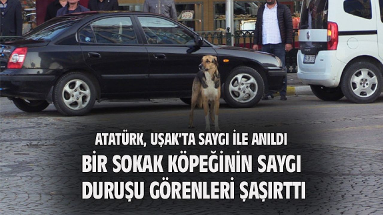 Uşak'taki 10 Kasım etkinliklerinde ilginç bir görüntü