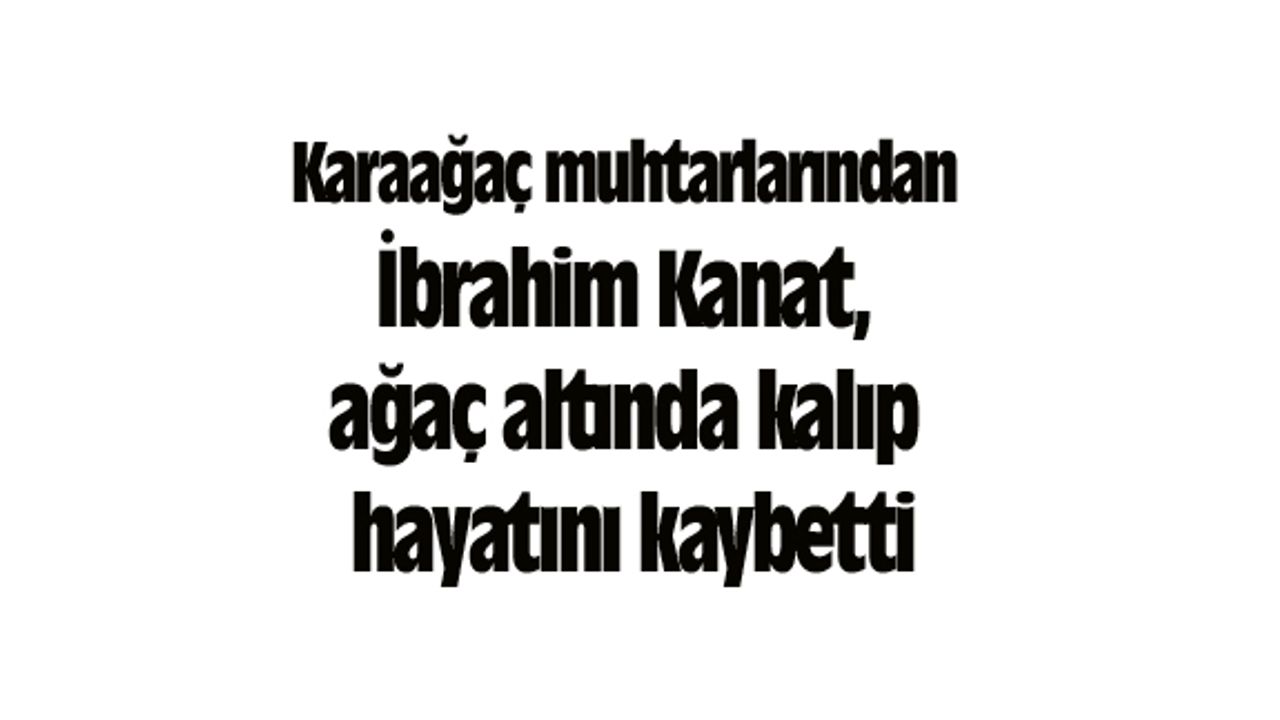 Karaağaç muhtarlarından İbrahim Kanat, ağaç altında kalıp hayatını kaybetti