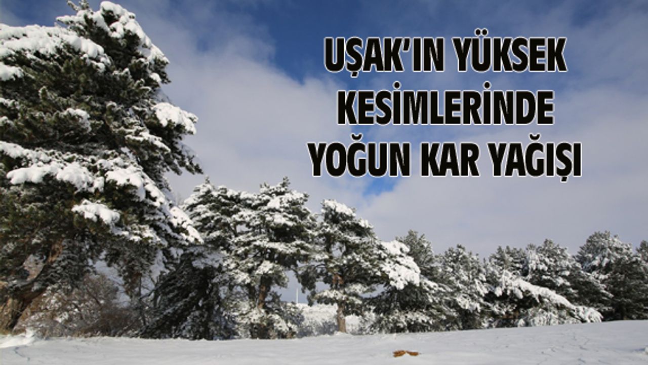 Uşak'ın yüksek kesimlerinde yoğun kar yağışı!