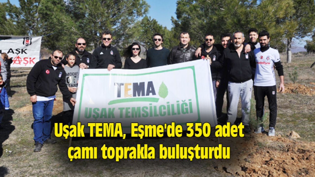 Uşak TEMA, Eşme'de 350 adet çamı toprakla buluşturdu