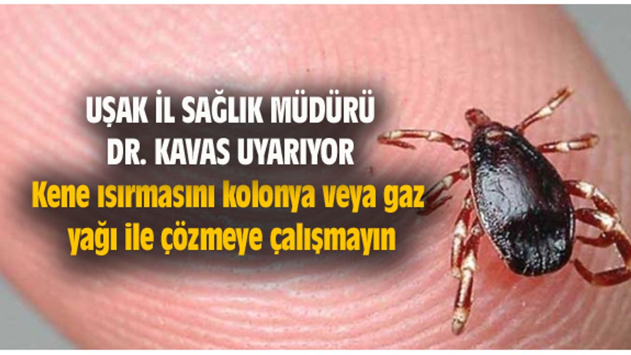 Kene ısırmasını kolonya veya gaz yağı ile çözmeye çalışmayın