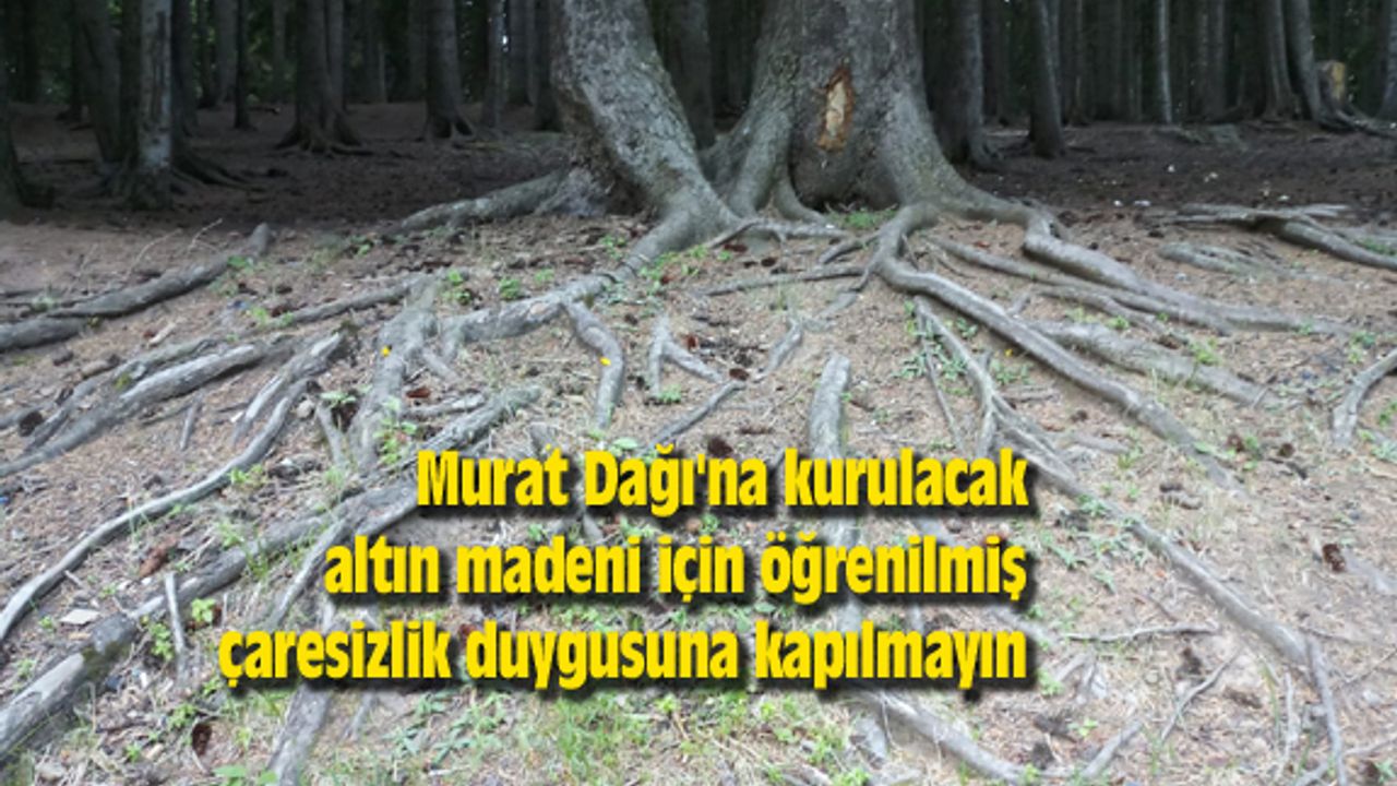 Murat Dağı'na kurulacak altın madeni için öğrenilmiş çaresizlik duygusuna kapılmayın
