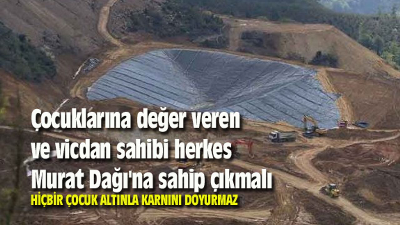 Çocuklarına değer veren ve vicdan sahibi herkes Murat Dağı'na sahip çıkmalı...