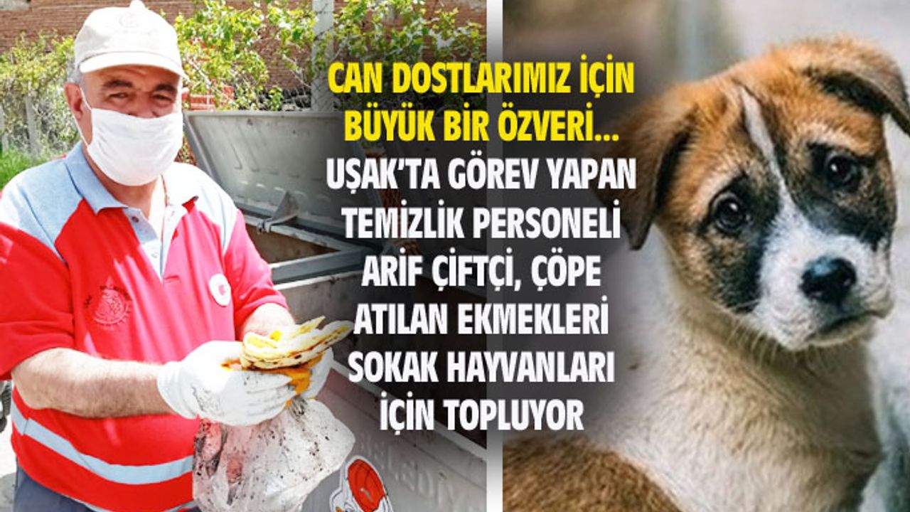 Uşak'taki temizlik personeli Arif Çiftçi, çöplerdeki ekmeleri can dostları için topluyor...