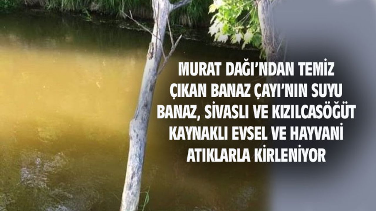 Murat Dağı'ndan tertemiz çıkan Banaz çayının suyu, evsel atıklarla kirleniyor