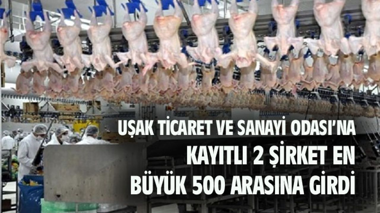Uşak'tan 2 şirket en büyük 500 arasına girdi