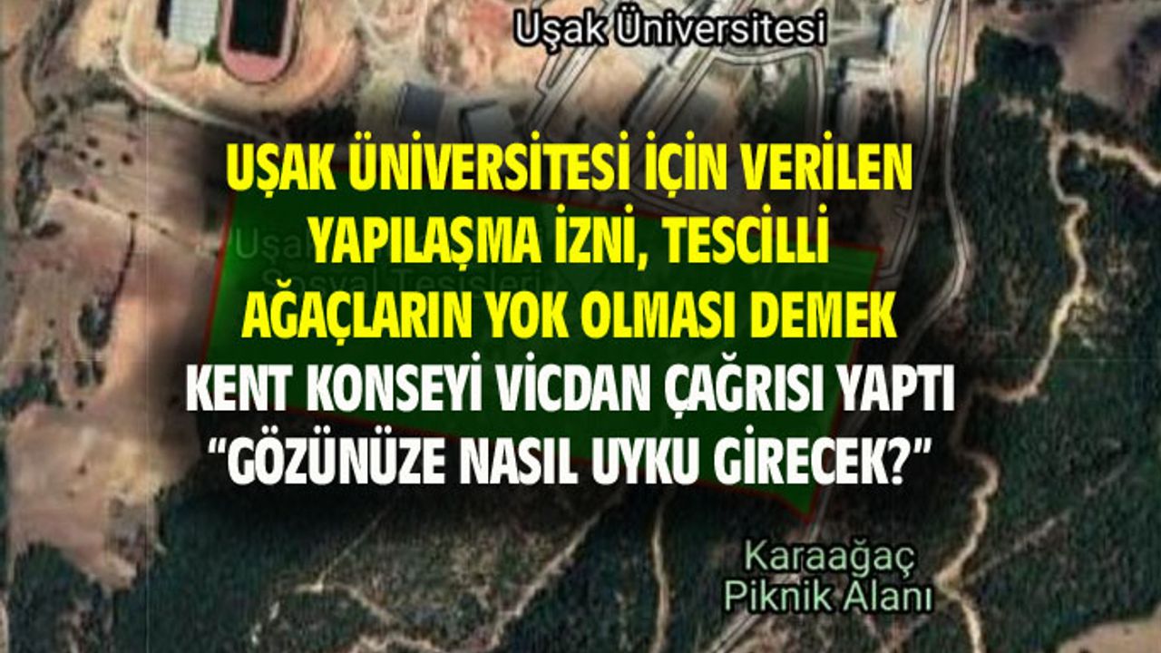Uşak Üniversitesi'ndeki tescilli ağaçların yok olmaması için vicdan çağrısı