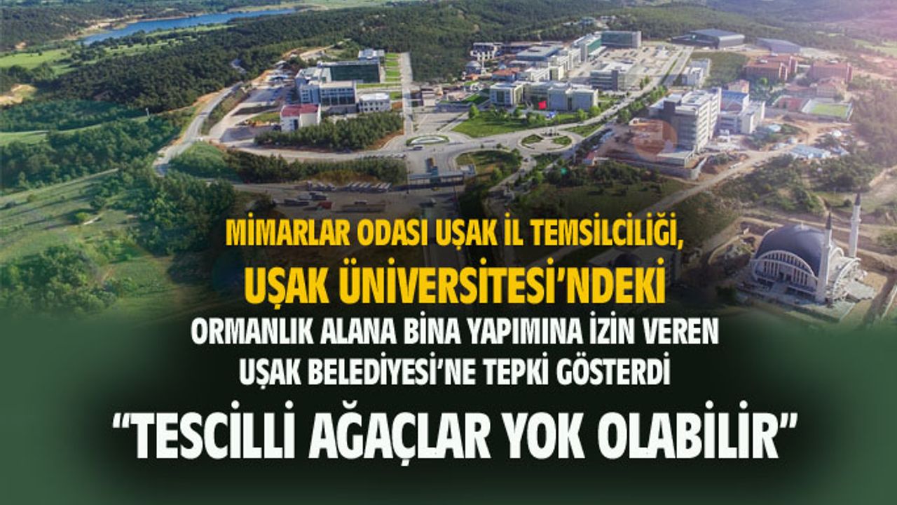 Uşak Üniversitesi'nin çevresindeki tescilli ağaçlar yok olabilir...