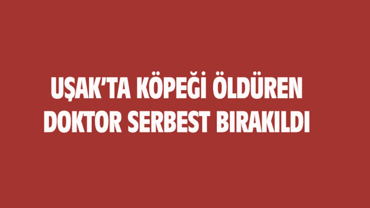 Uşak'ta köpeği öldüren doktor serbest bırakıldı