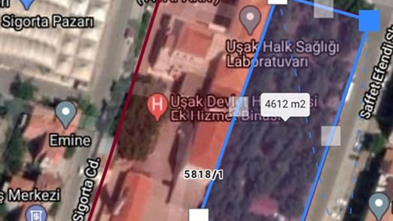 Uşak İl Sağlık Müdürlüğü'nün talebi ağaçların yok olmasına yol açabilir