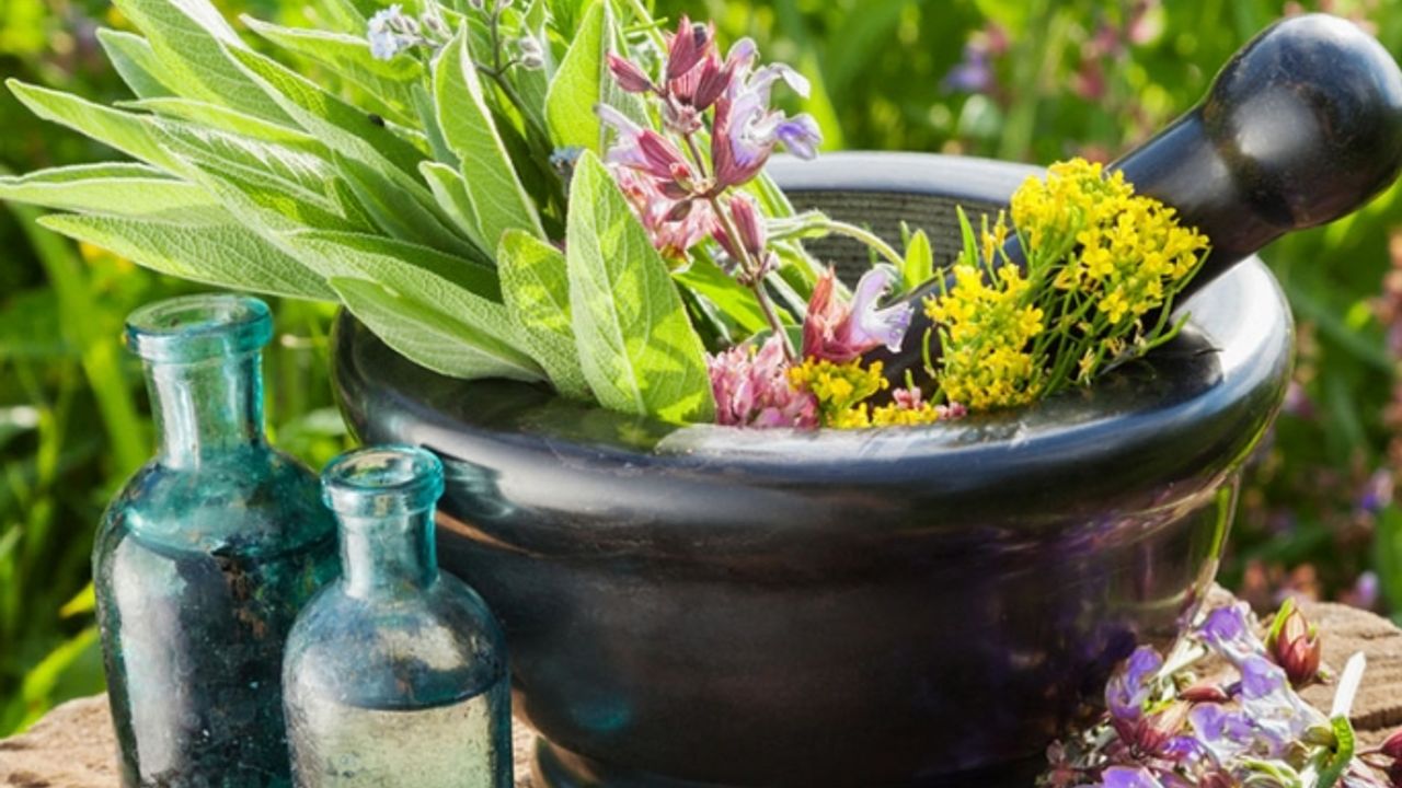 Uşak Üniversitesinden Tıbbi ve Aromatik Bitkilerin Yetiştirilmesi ve İşlenmesine Destek