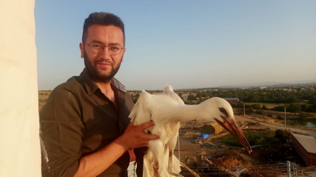 Kolonkaya'da yaralanan leyleği camiinin imam hatibi ile köylüler iyileştirdi