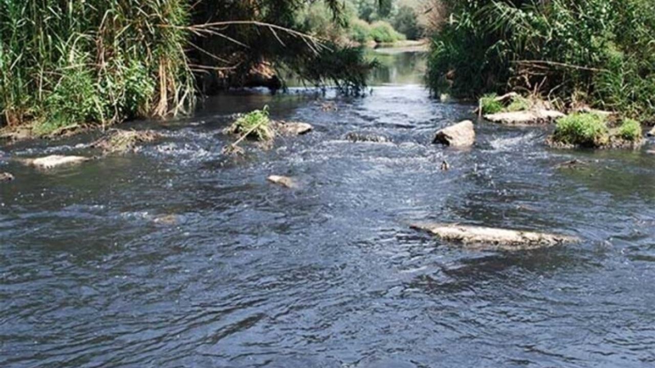 Gediz Nehri'nin kirlenmesi gıdaya erişimi engelliyor