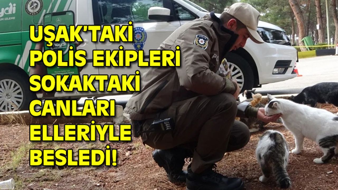 Uşak İl Emniyet Müdürlüğü'ne bağlı HAYDİ ekipleri, sokak hayvanlarını besliyor