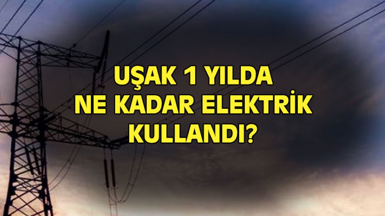 Uşak 1 yılda ne kadar elektrik kullandı?