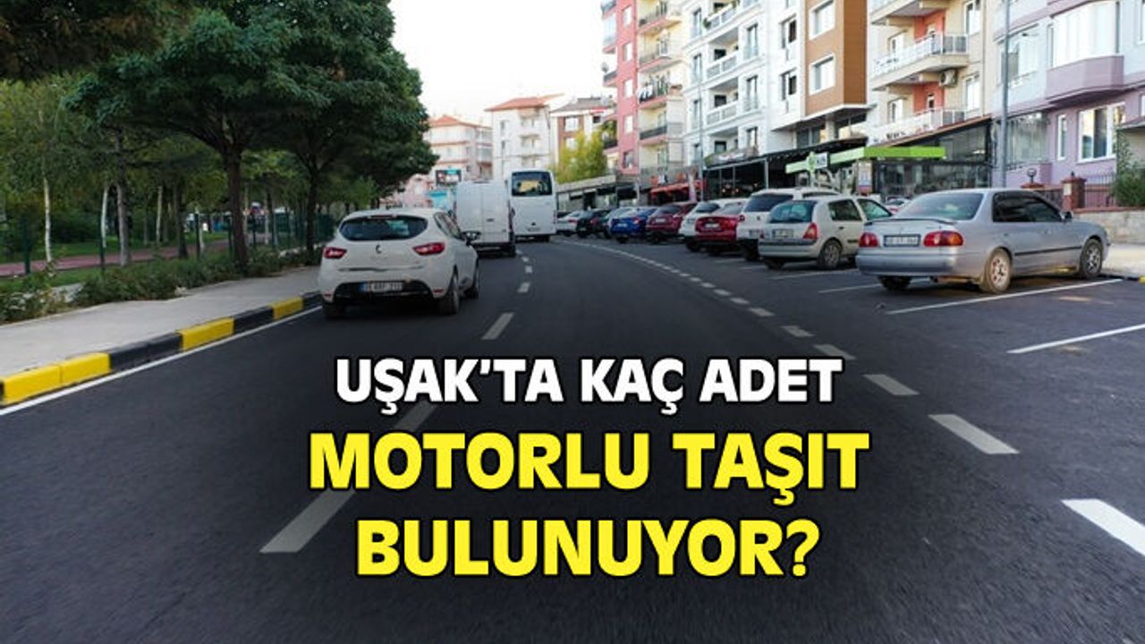 Uşak'ta kaç motorlu taşıt var?