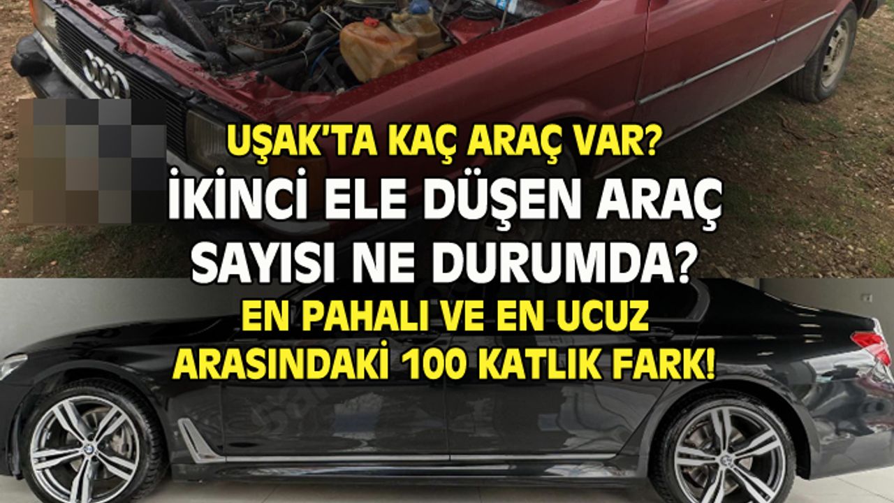 Uşak'ta kaç otomobil ikinci ele düştü?