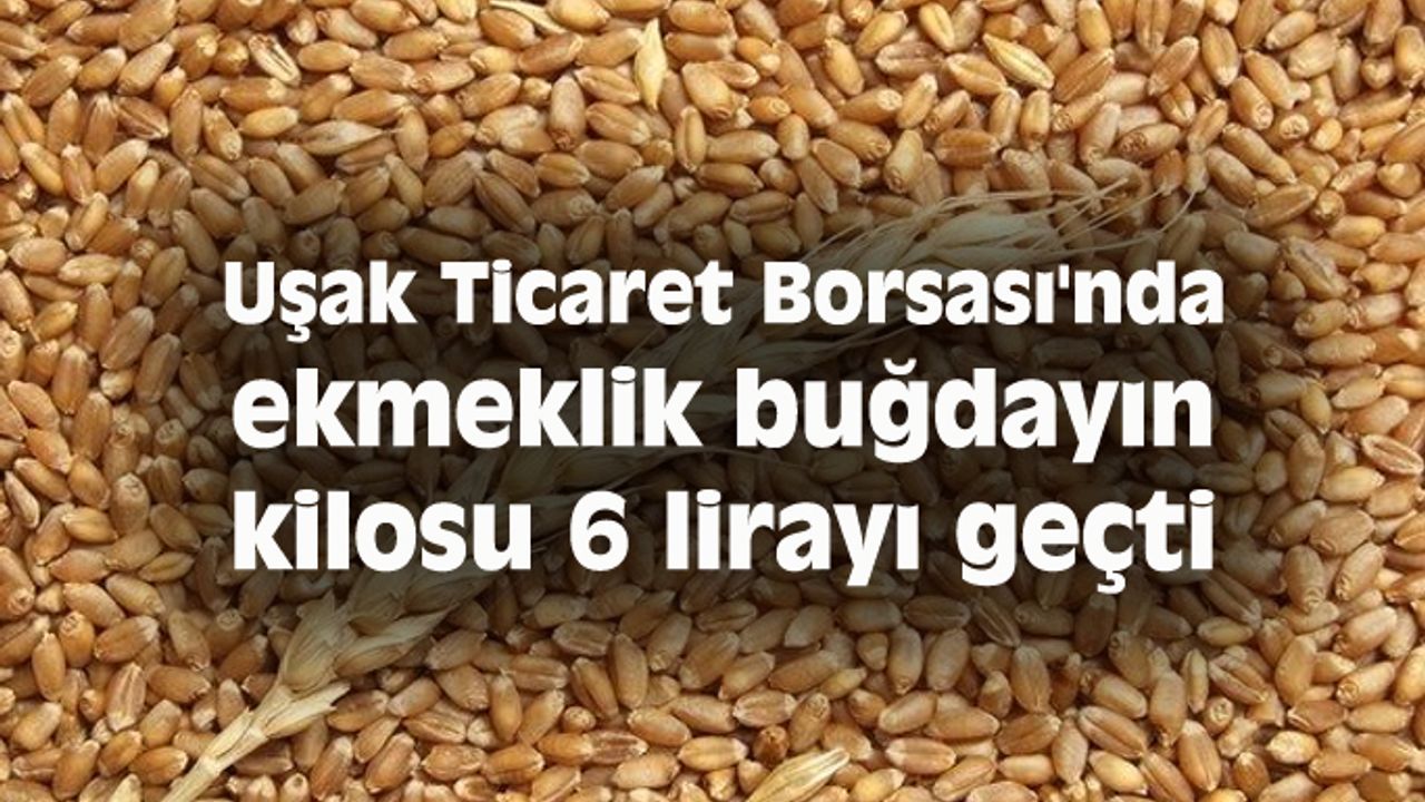 Uşak Ticaret Borsası'nda ekmeklik buğdayın kilosu 6 lirayı geçti