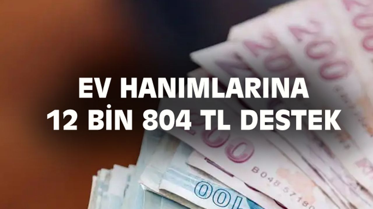 Ev hanımlarına devlet tarafından 12 bin 804 TL destek verilecek