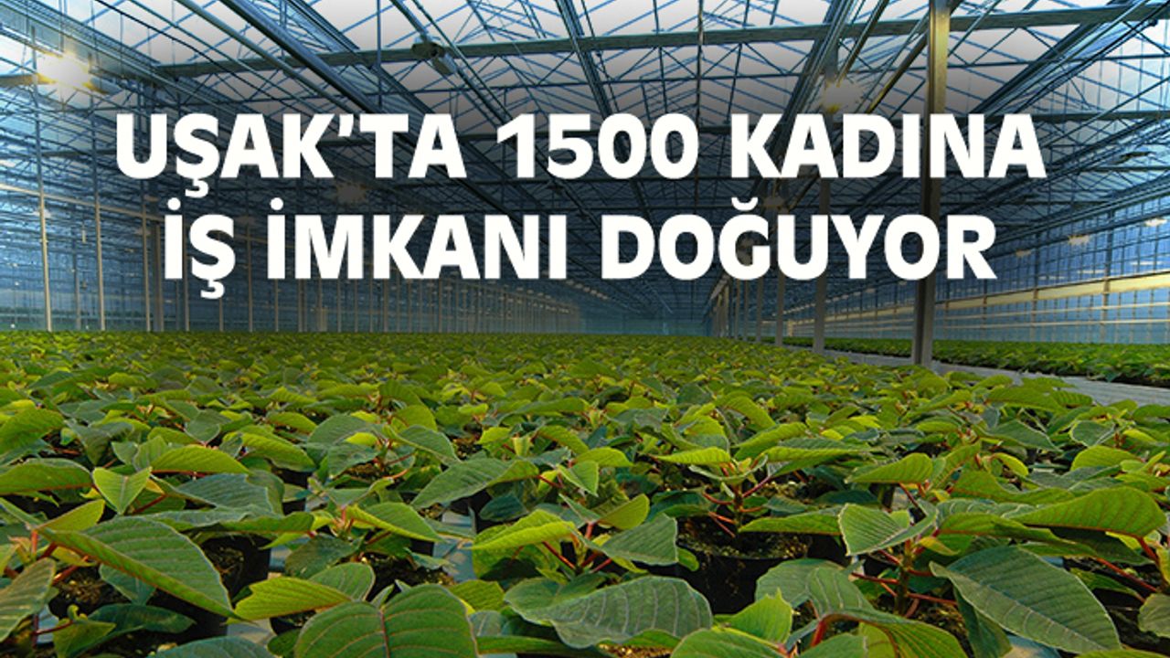 Uşak’ta en az bin 500 kadına iş imkanı doğuyor