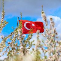 Yaşam