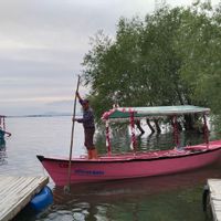 Yaşam