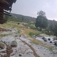 Gündem