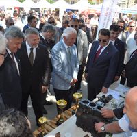 Eğitim