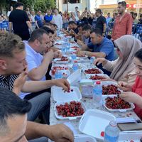 Yaşam