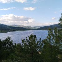 Yaşam
