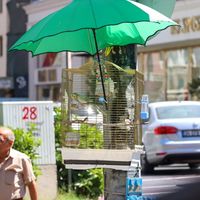 Gündem