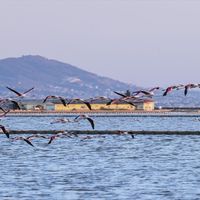 Yaşam
