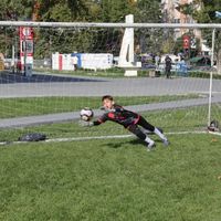 Spor