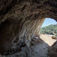 Yaşam