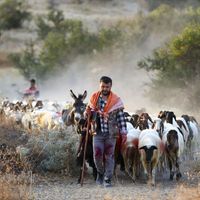 Yaşam