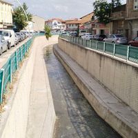 Yaşam