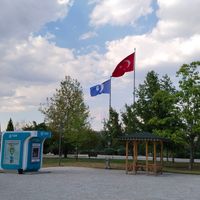 Eğitim