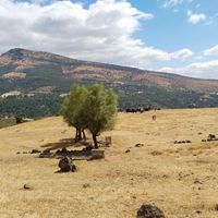 Gündem