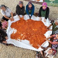 Yaşam