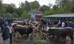 Uşak'ta Kurban Bayramı önü, tekrar açılan Banaz hayvan pazarında yoğunluk dikkat çekiyor