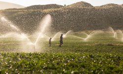 Uşak'taki çiftçilere elektrik faturalarında kolaylık sağlanacak
