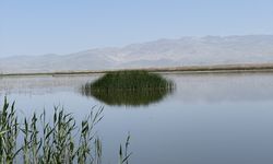 Uşak'a yakın mesafede bulunan cennet gibi bir yer: Eber Gölü